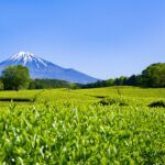 【2025年最新】静岡県富士市でおすすめのパソコン修理業者4選｜料金相場・選び方・費用を抑えるコツ