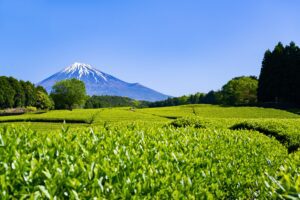 【2025年最新】静岡県富士市でおすすめのパソコン修理業者4選｜料金相場・選び方・費用を抑えるコツ