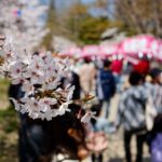長野県長野市のパソコン修理業者おすすめ3選!口コミ優良店を比較