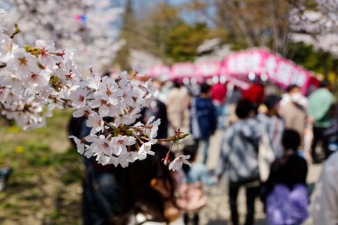 長野県長野市のパソコン修理業者おすすめ3選！口コミ優良店を比較