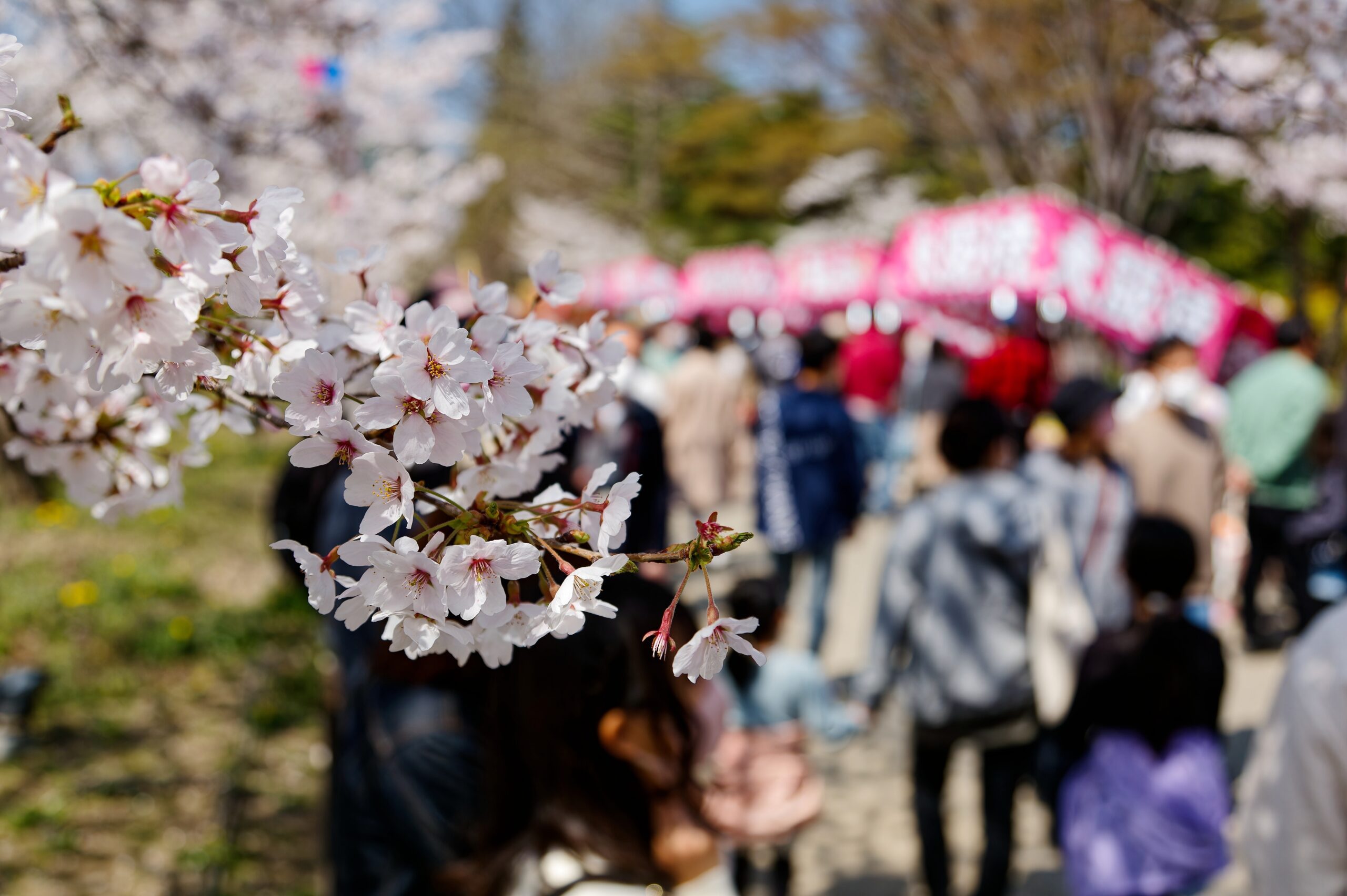 長野県長野市のパソコン修理業者おすすめ3選！口コミ優良店を比較
